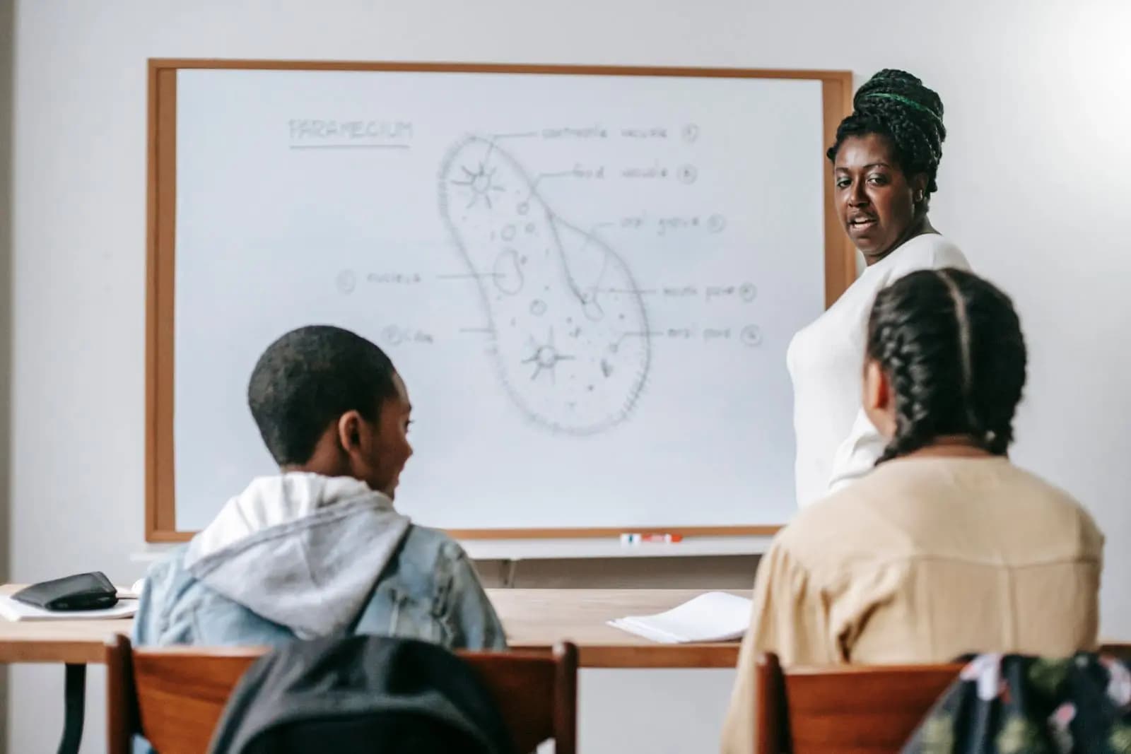 Teacher explaining a science diagram on the whiteboard
